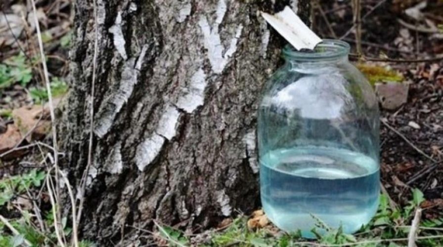 як заправити березовий сік