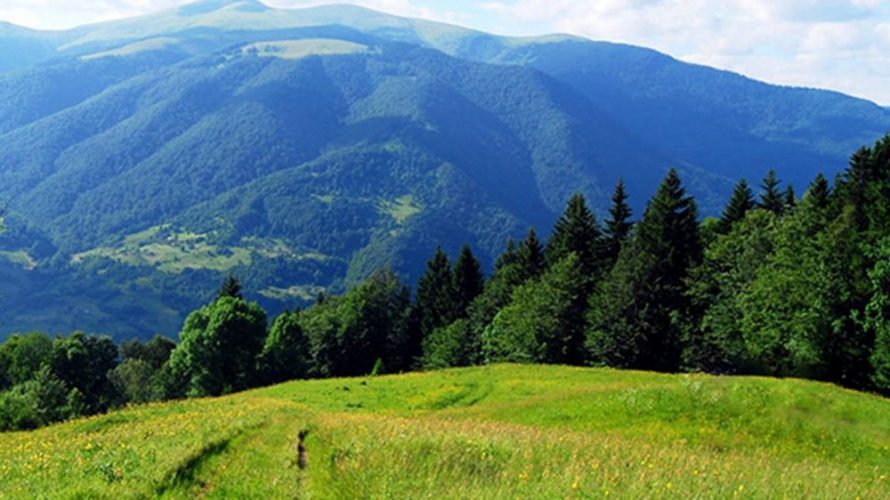 карпати