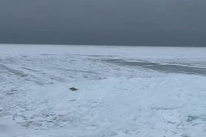 Температура замерзання морської води: чому океани витримують полярні морози
