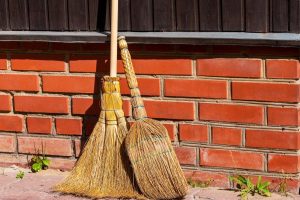 З чого роблять віники: традиція сорго та сила ароматних гілок