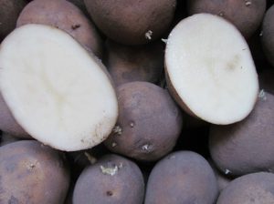 Тайфун картопля: повний гід з характеристиками та вирощуванням