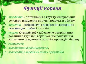 Функція кореня: властивості, графіки та застосування